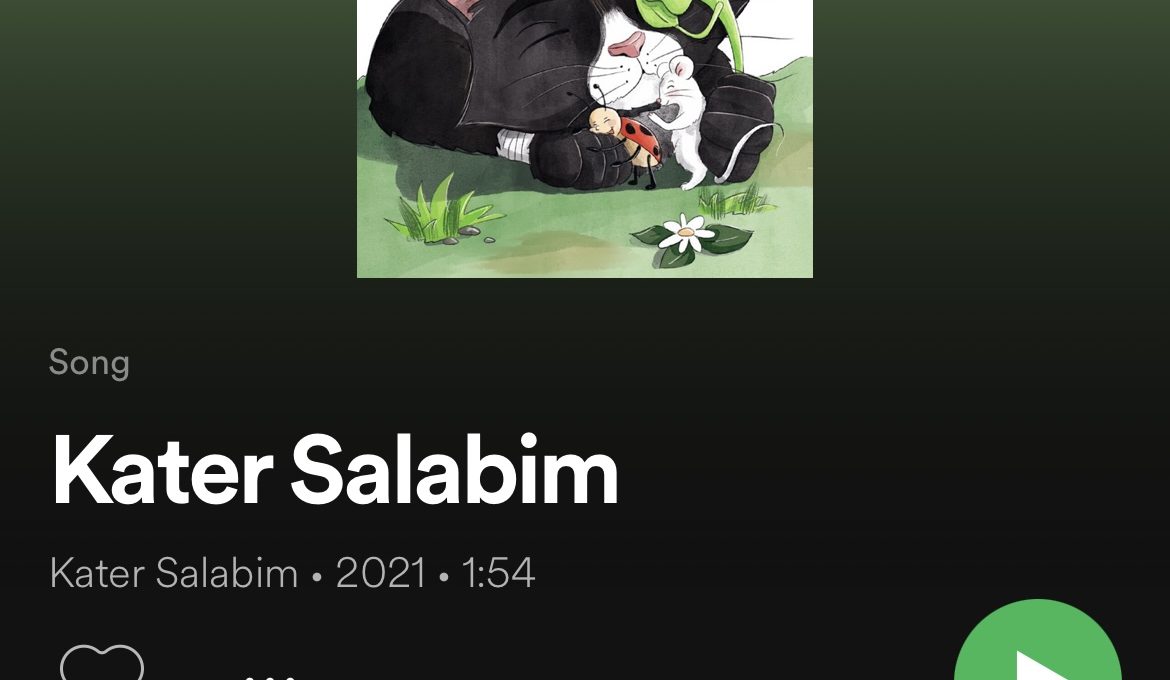 Salabim bei Spotify